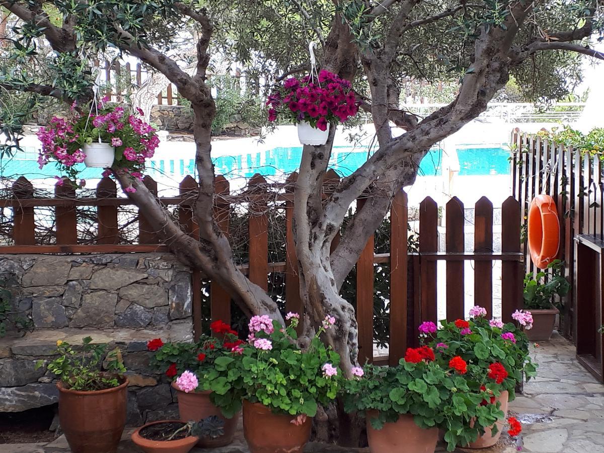 Ferma Solaris Apartments Αγία Φωτιά Εξωτερικό φωτογραφία