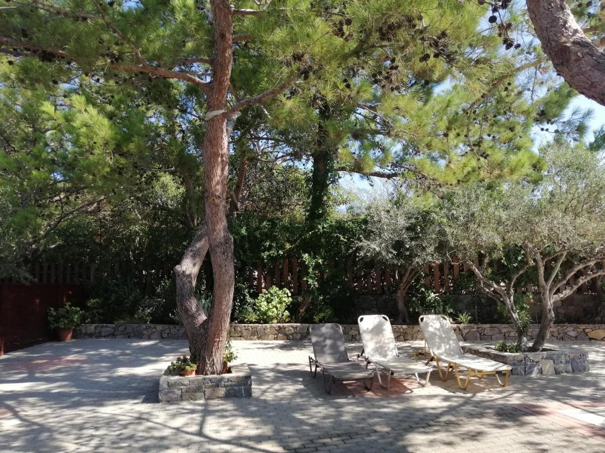 Ferma Solaris Apartments Αγία Φωτιά Εξωτερικό φωτογραφία