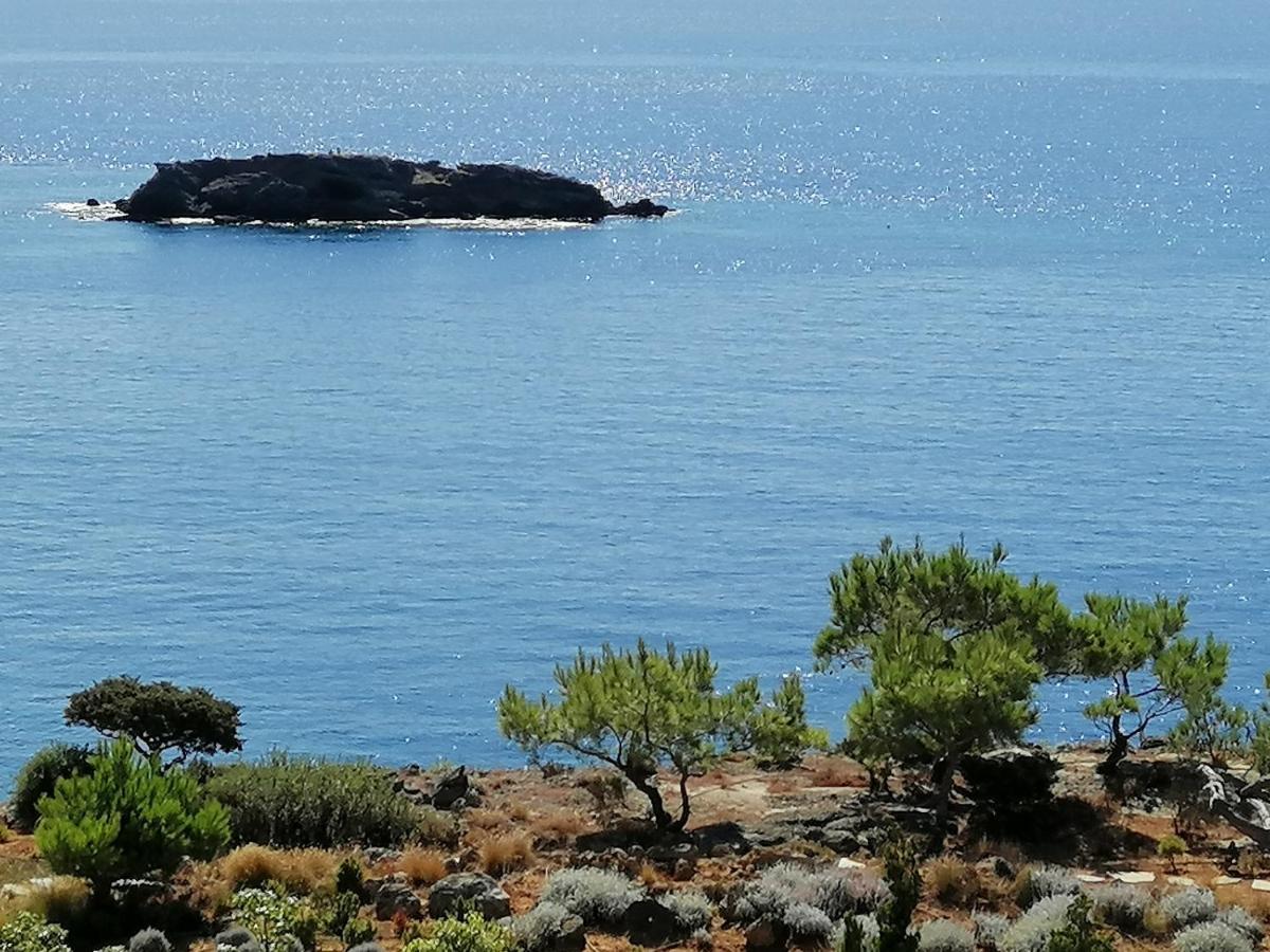 Ferma Solaris Apartments Αγία Φωτιά Εξωτερικό φωτογραφία